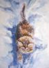 Схема вышивки «Котёнок в снегу»