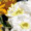 Хризантемы и лизиантусы: предпросмотр