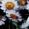 Картина "Полевые цветы": предпросмотр