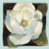 Flower Decoration - Magnolia: оригинал