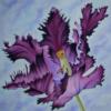Схема вышивки «Purple Tulip»