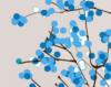 Blue Cherry Blossom: оригинал