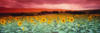Схема вышивки «Red Panoramic Sunflower Field»
