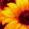 Sunflower Opulence: предпросмотр
