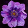 Схема вышивки «Purple Flower»