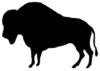 Схема вышивки «Buffalo Silhouette»