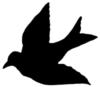 Схема вышивки «Pigeon Silhouette»