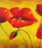 Joyful Poppies -Triptych Center: оригинал