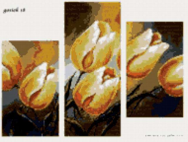 , tulpan, svetq, buket