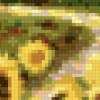 Sunflowers Canvas Middle: предпросмотр
