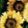 Sunflowers Canvas Left: предпросмотр