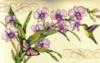 Схема вышивки «Орхидеи, колибри и бабочка»