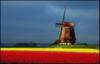 Нидерланды: оригинал