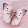 Pink Butterfly: оригинал