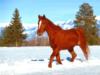 Схема вышивки «Красный конь»
