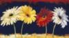 Схема вышивки «Happy Flowers»
