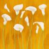 Water Calla Lilies on Orange: оригинал