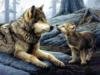 Волчица и волчонок: оригинал