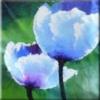 Bright Tulips - Diptych Right: оригинал