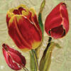 Схема вышивки «Цветы "Тюльпаны" 1»