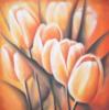Orange Tulips Duo: оригинал