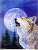 Схема вышивки «Волк и луна»