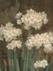 Flowers Decoration - White: оригинал