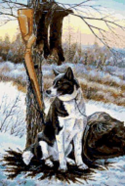 Variant 2, животные, собаки