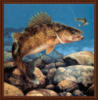 Схема вышивки &laquo;Щука&raquo;