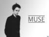 Схема вышивки «Muse»