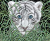 Схема вышивки «Белый тигрёнок»