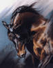 Схема вышивки «Портрет лошади»