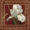 Схема вышивки «White Flower - Iris»