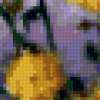 Хризантемы и золотые шары: предпросмотр