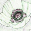 Схема вышивки «Flower Drawing»