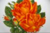 Схема вышивки «Оранжевые розы»