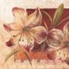 Схема вышивки «Floral Decoration - Duo»