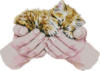 Схема вышивки «Котик на ладошках»