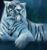 Схема вышивки «Белый тигр рррр...»