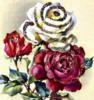 Схема вышивки «Розы с открытки»