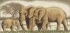 Схема вышивки «Семья слонов (вышито)»