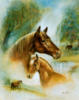 Лошадь и жеребенок-2: оригинал
