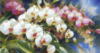 Схема вышивки «Darryl Trott.Райские цветы»