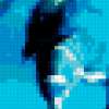 Дельфины: предпросмотр