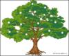 Схема вышивки «Денежное дерево»