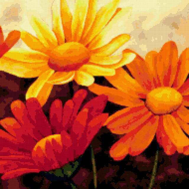 Margherite Variopinte , цветы, живопись