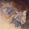Схема вышивки «Leopards Family»