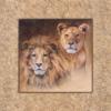 Схема вышивки «Lions Family - Framed»
