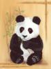 Схема вышивки «Cute Panda»
