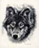 Схема вышивки «Портрет волка»